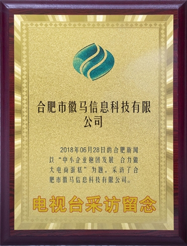 合肥電視臺(tái)